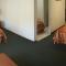 Express Inn & Suites Eugene