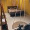 Cactus Homestay
