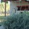 Gorjelina `s House