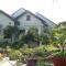 Gold Rooster Resort