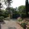 Il Sole