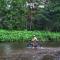 ETALAUSER Jungle Gate EcoResort Bukit Lawang - 武吉拉旺