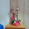 TRIANON Hostel - Central Paphos Old Town