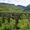 Eco Camp Drno Brdo