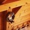 La Cabane D' I.s.a photo 23