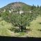 Hotel Des Oliviers photo 8
