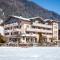 Hotel & Appartements Alpenresidenz Viktoria - 施图拜河谷新施蒂夫特