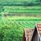 Weingut Jakob`s Ruhezeit