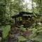 Macaw Lodge