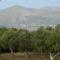 Lotus Sea View Studio Apartment 2 - Lixouri