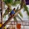 Villa Naatang Bohol Beach House 1