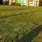 Studio Apartman Ždral