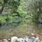 Wairua Lodge - Rainforest River Retreat