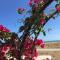 Beach flat with garden