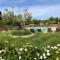 Domaine du Mas Foucray