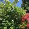 Les jardins de Beaumont