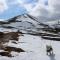 Cairngorm Lodge Youth Hostel