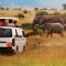 AA Lodge Amboseli