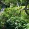 Guest House Ucha