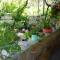 Guest House Ucha