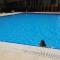 Foto: Swimming Pool Apartment Tbilisi 32/62