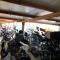 Hotel Crowded House