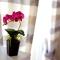 Apartmány Alice