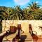 Finca Cas Curial - Agroturismo - Adults Only