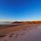 Midnight Sun View Lofoten