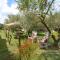 le cabanon de lolivette