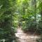 Daintree Crocodylus - Cow Bay