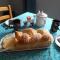 Serenâ photo 8