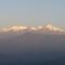 VAMOOSE CHAMLING