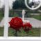 DiDa home