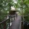 Foto: Juma Amazon Lodge 2/41