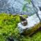Ryokan Mugen (Adult Only)