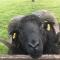 Creag Dubh Bed & Breakfast