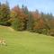 App. Seeblick Top of Interlaken - Beatenberg