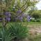 Vineyard Garden Studio