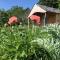 Vineyard Garden Studio