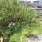 Nepalaya Eco Hostel