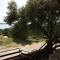 Apartments and rooms by the sea Supetarska Draga - Gonar, Rab - 2002