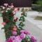 Guesthouse AzA&Karlen - Novy Afon