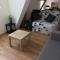 Acca larentia photo 23