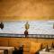 Hotel Art