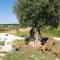 HelloAPULIA - Panoramic Trulli Pozzo Fornello with private pool