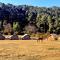 Nainital Camp Wildland & Farmstay - Nainital