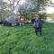 Yr Wyddfa Bell Tent - Pen Cefn Farm, Abergele, Conwy - أبرجيل