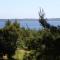 Apartments by the sea Zavala, Hvar - 594