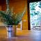 Apartamentos el Bosquet